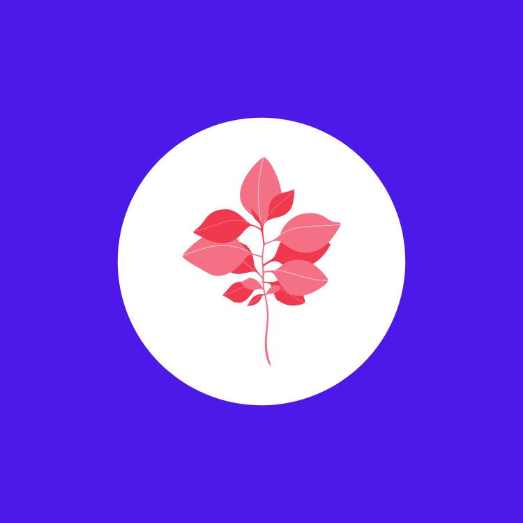 red and pink leaf with blue background